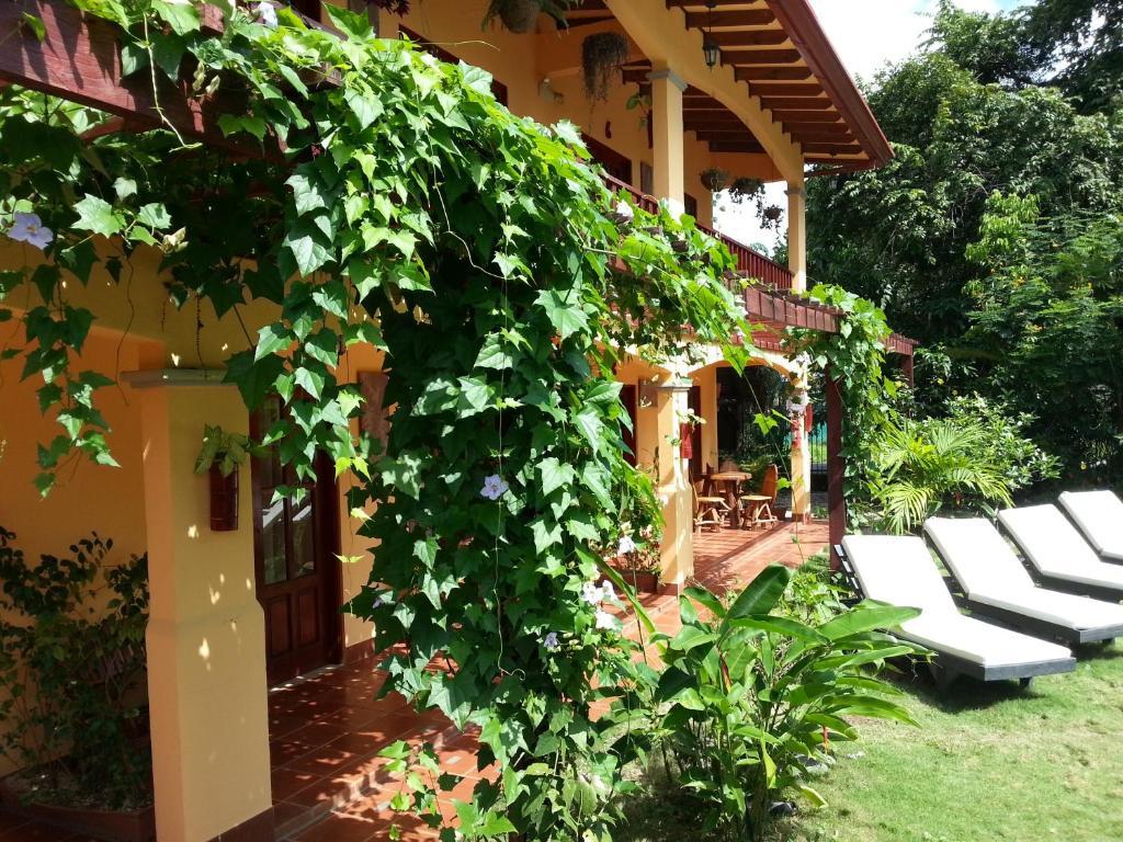 Hotel Green Jacó Dış mekan fotoğraf